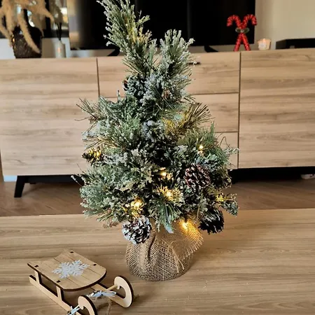 Superbe 3p Neuf - Terrasse - Barbecue