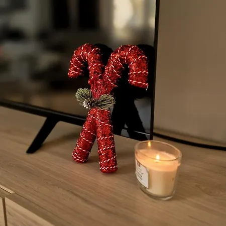 Superbe 3p Neuf - Terrasse - Barbecue Apartment Nizza